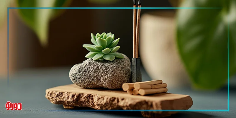 تأثیر گیاه یشم بر جذب ثروت و رونق اقتصادی در فنگ شویی